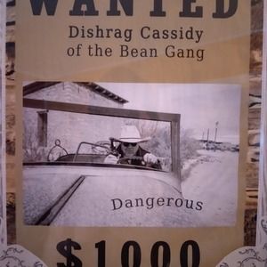 Meet your Posher, Dan